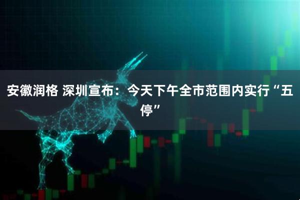 安徽润格 深圳宣布：今天下午全市范围内实行“五停”