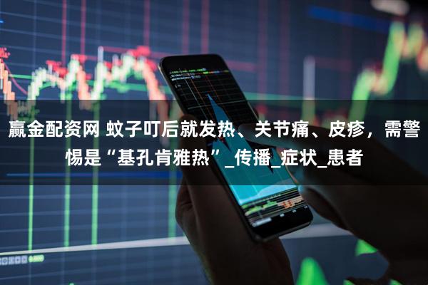 赢金配资网 蚊子叮后就发热、关节痛、皮疹,需警惕是“基孔肯雅热”_传播_症状_患者