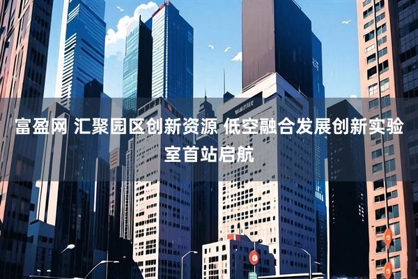 富盈网 汇聚园区创新资源 低空融合发展创新实验室首站启航