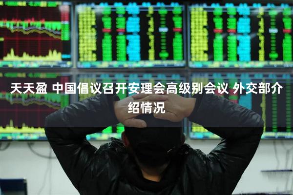 天天盈 中国倡议召开安理会高级别会议 外交部介绍情况