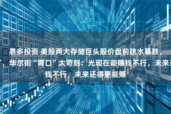 易多投资 美股两大存储巨头股价盘前跳水暴跌，原因找到了，华尔街“胃口”太苛刻：光现在能赚钱不行，未来还得更能赚